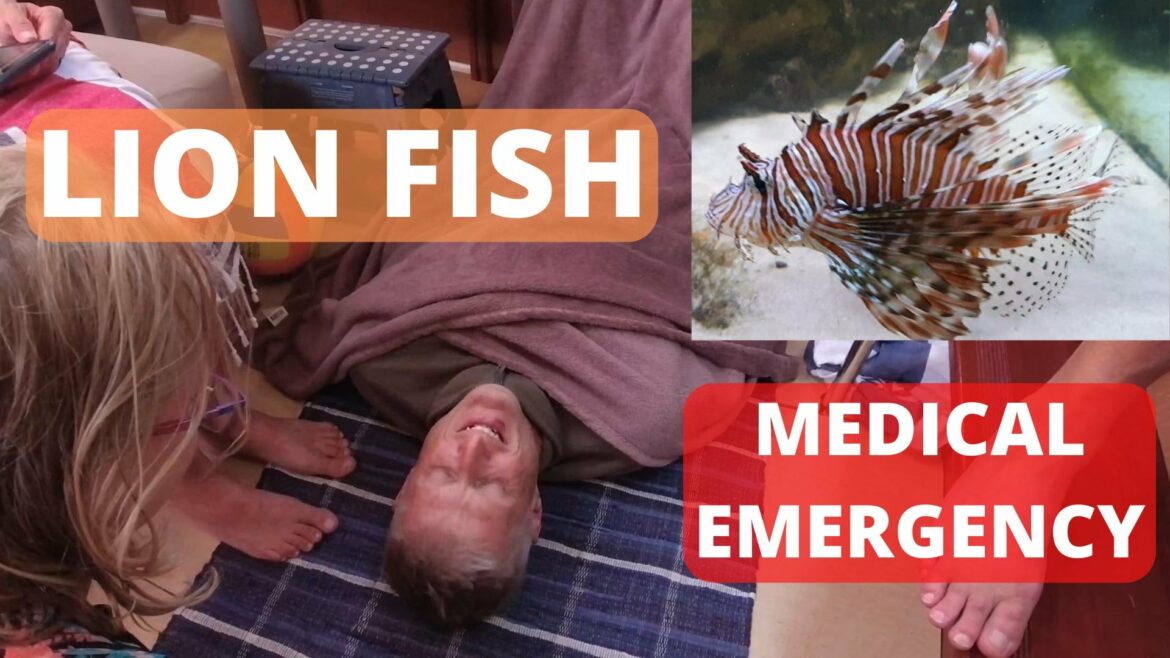 Lion Fish Medical Emergency