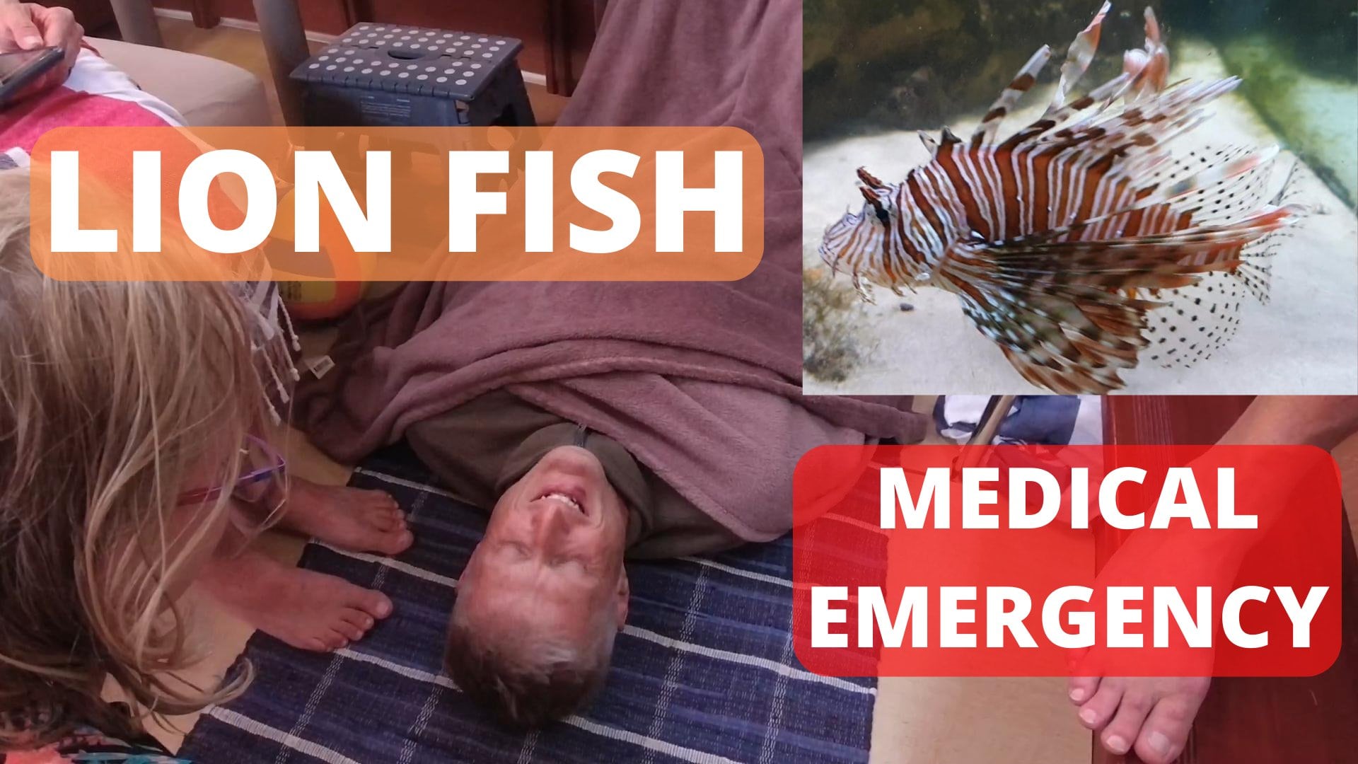 Lion Fish Medical Emergency