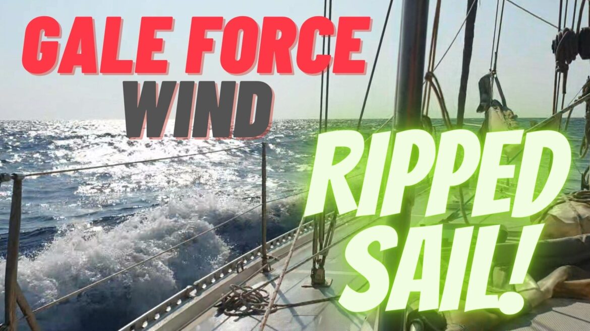 Gale Force Wind Damaged Sail
